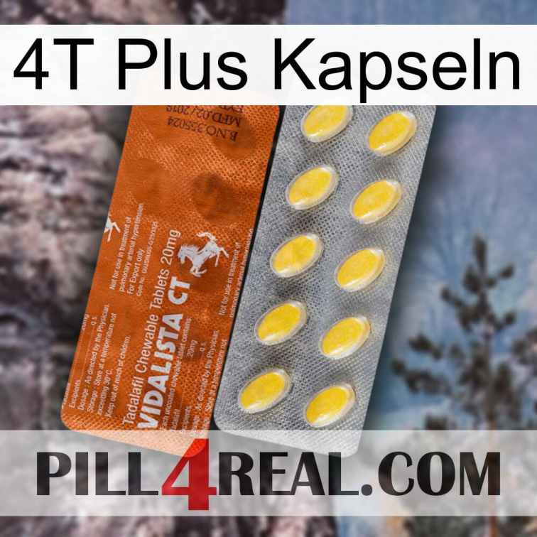 4T Plus Capsules 42